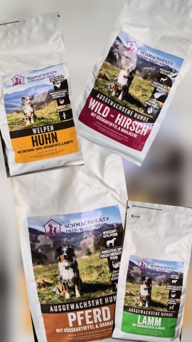 Werbung Hund Klein