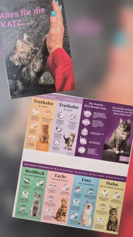 Werbung Katze Klein